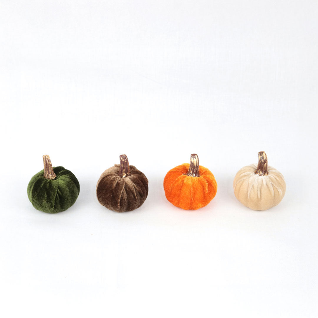 Bolsa de 6 calabazas terciopelo