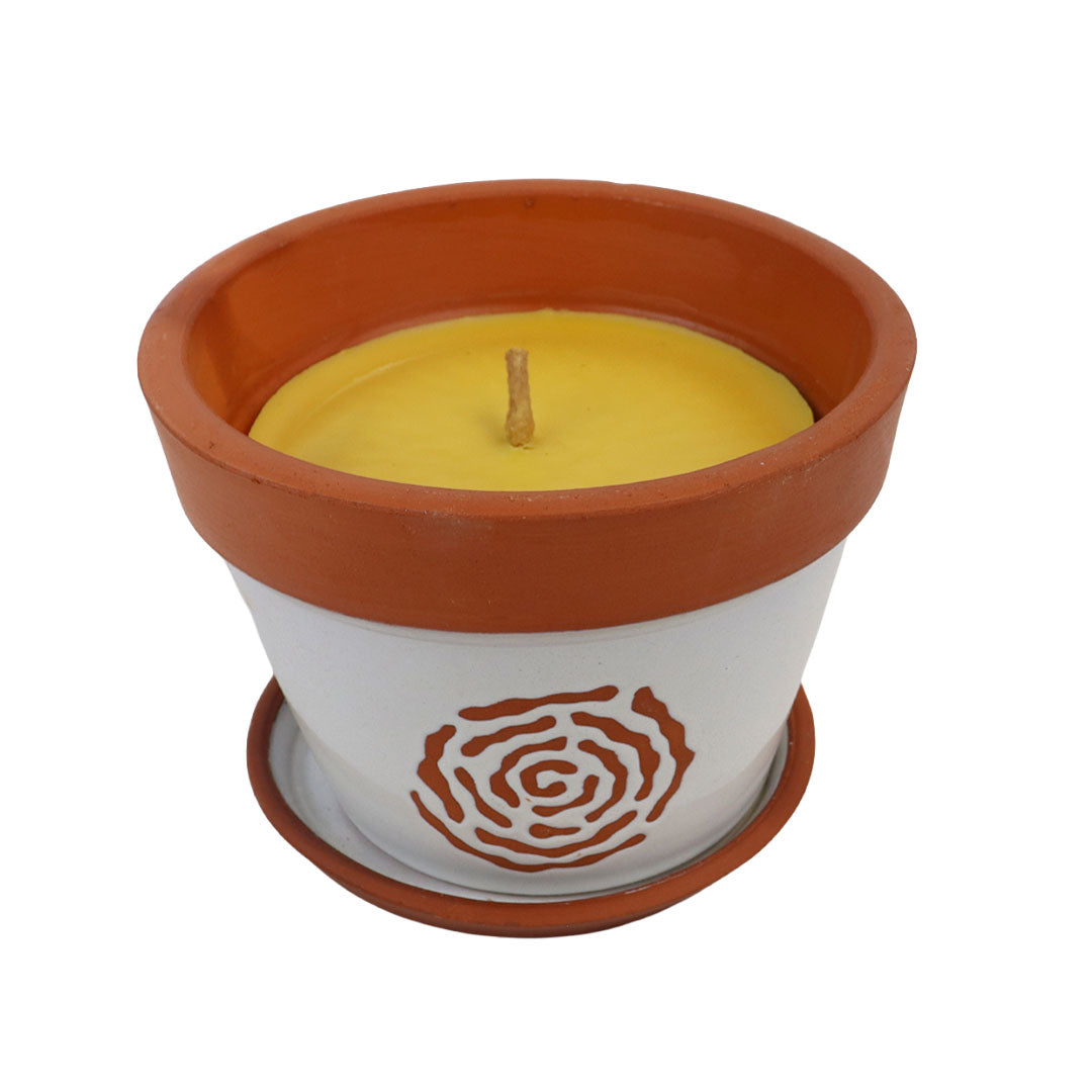 Vela de Citronela en Maceta